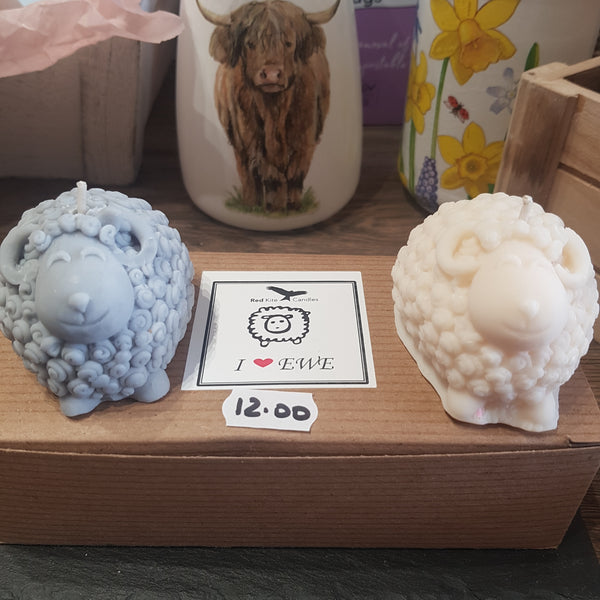 Red Kite sheep candles- box of 3.